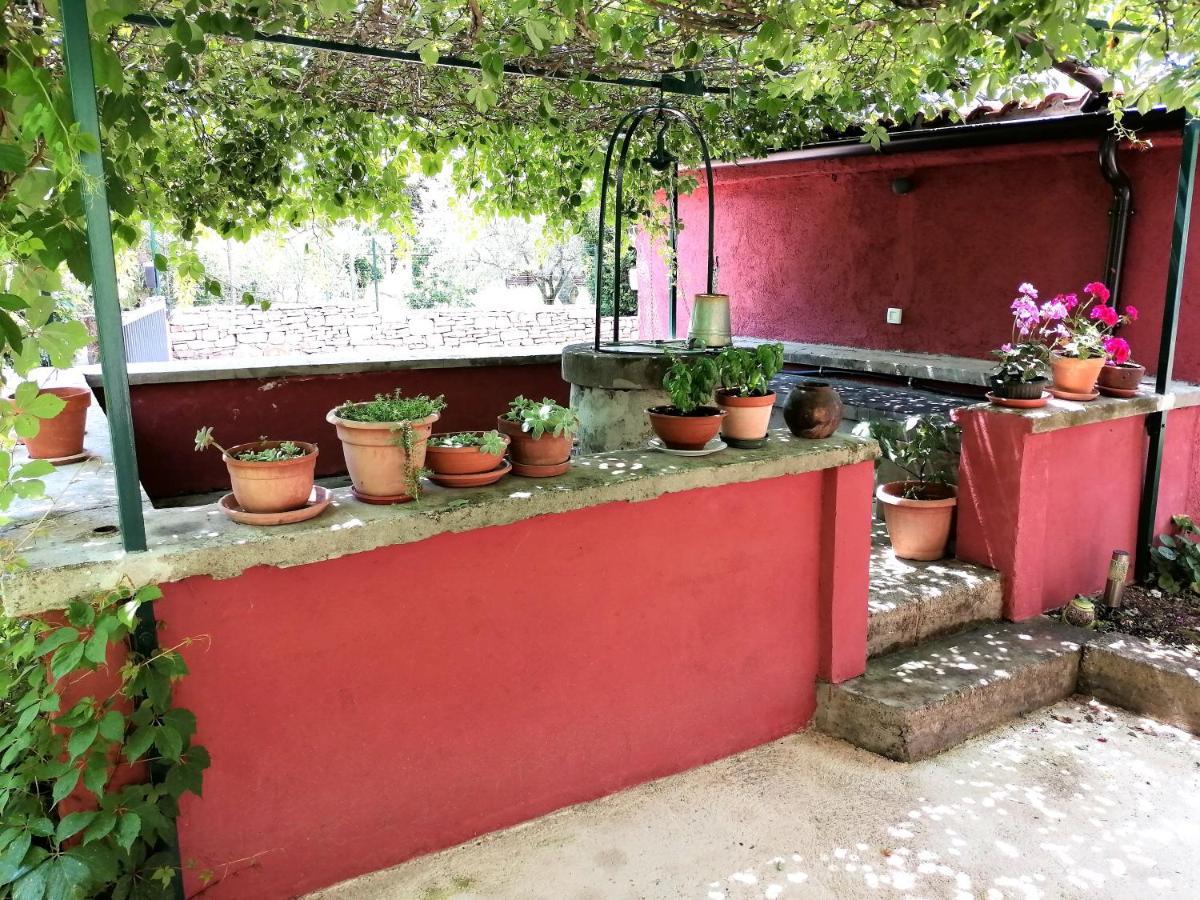 House Bougainvillea Ferienhaus *