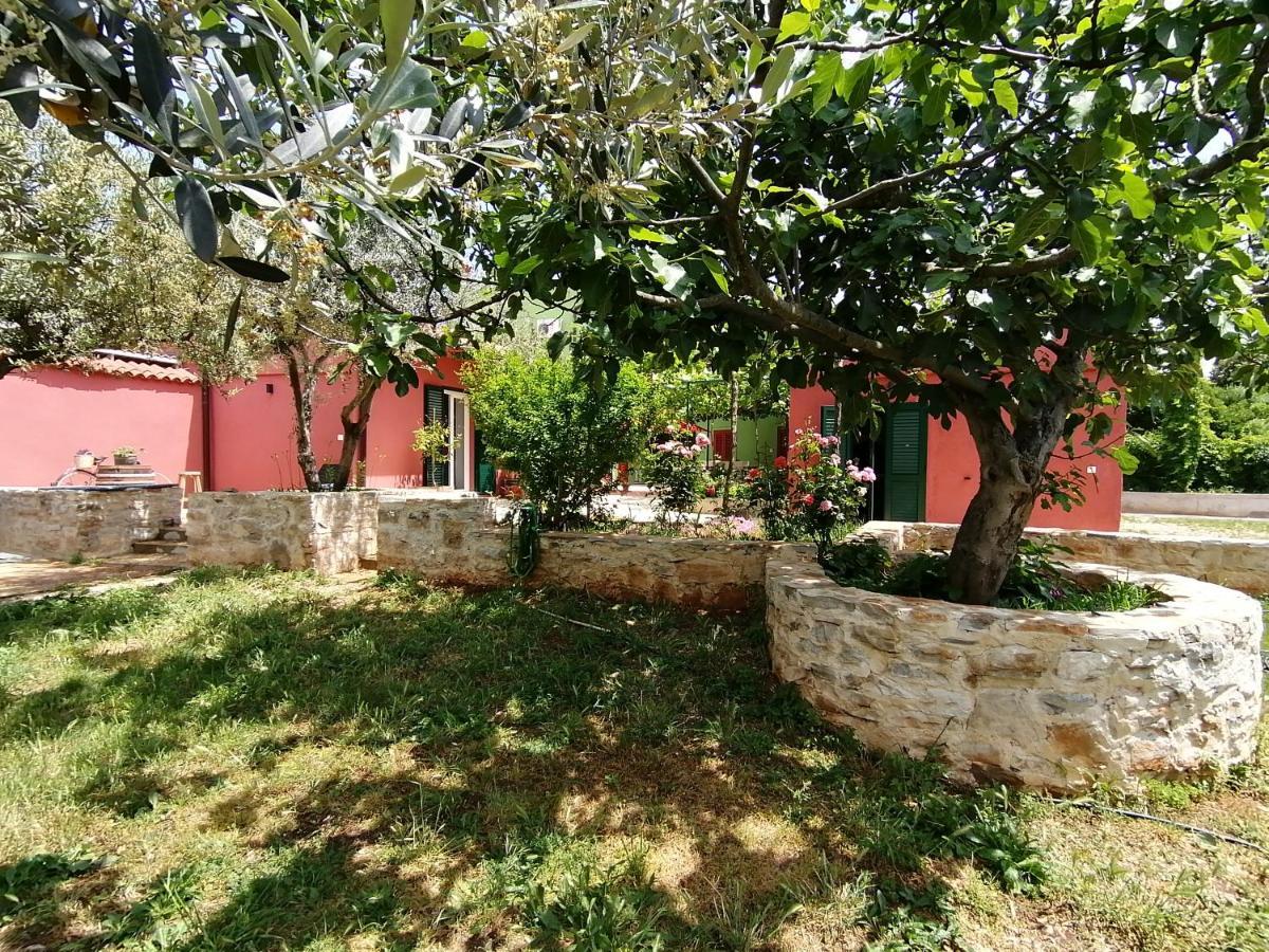 House Bougainvillea Ferienhaus
